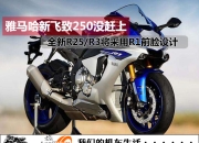 雅马哈新飞致250参数(雅马哈新飞致250没赶上！全新R25/R3将采用R1前脸谱设计)