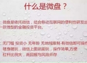 微盘官方网站_微盘入门知识讲解？怎么操作才能赚钱！